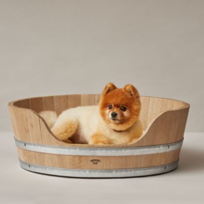 犬用首輪 《エトリヴィエールIII》 | Hermès - エルメス-公式サイト